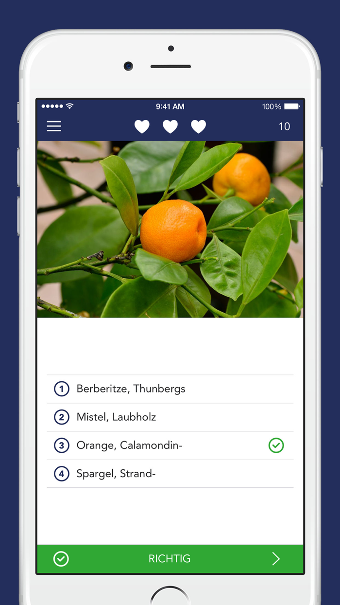 Früchte und Beeren PRO