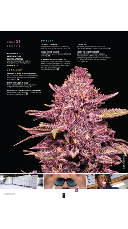 Cannabis Now