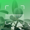 Identify trees - Plant finder - iPhoneアプリ