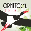 Ornitocyl