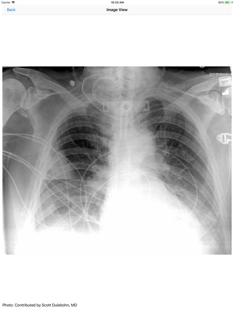 【图】RN Perianesthesia CAPA CPAN(截图3)