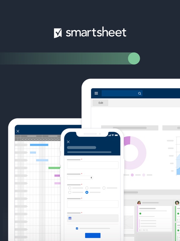 Smartsheet – Project Management, Gantt Charts, Task Management screenshot