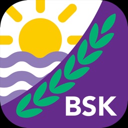 BSK Parent