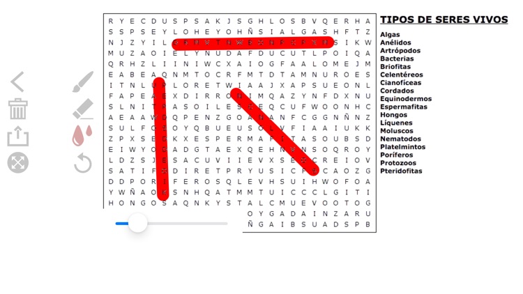 Word search soup by topic