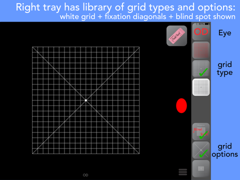 Amsler Grids screenshot 2