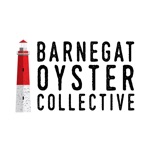 Barnegat Oyster Collective