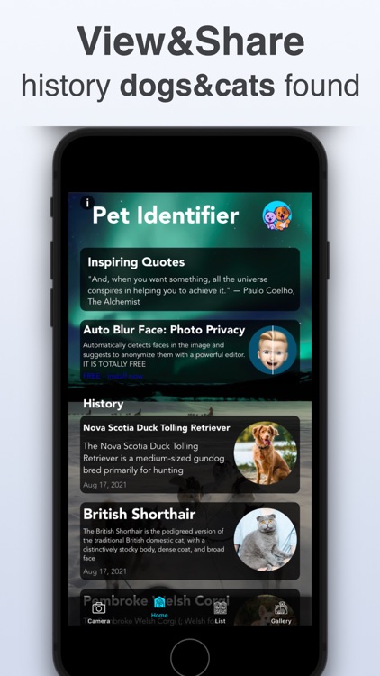 Pet Identifier - Scan dog, cat screenshot-7