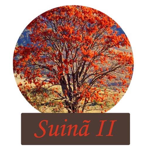 Condomínio Suinã II