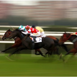 Singapore Horse Racing Live