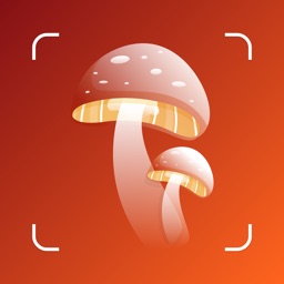 Mushroom Identification ++