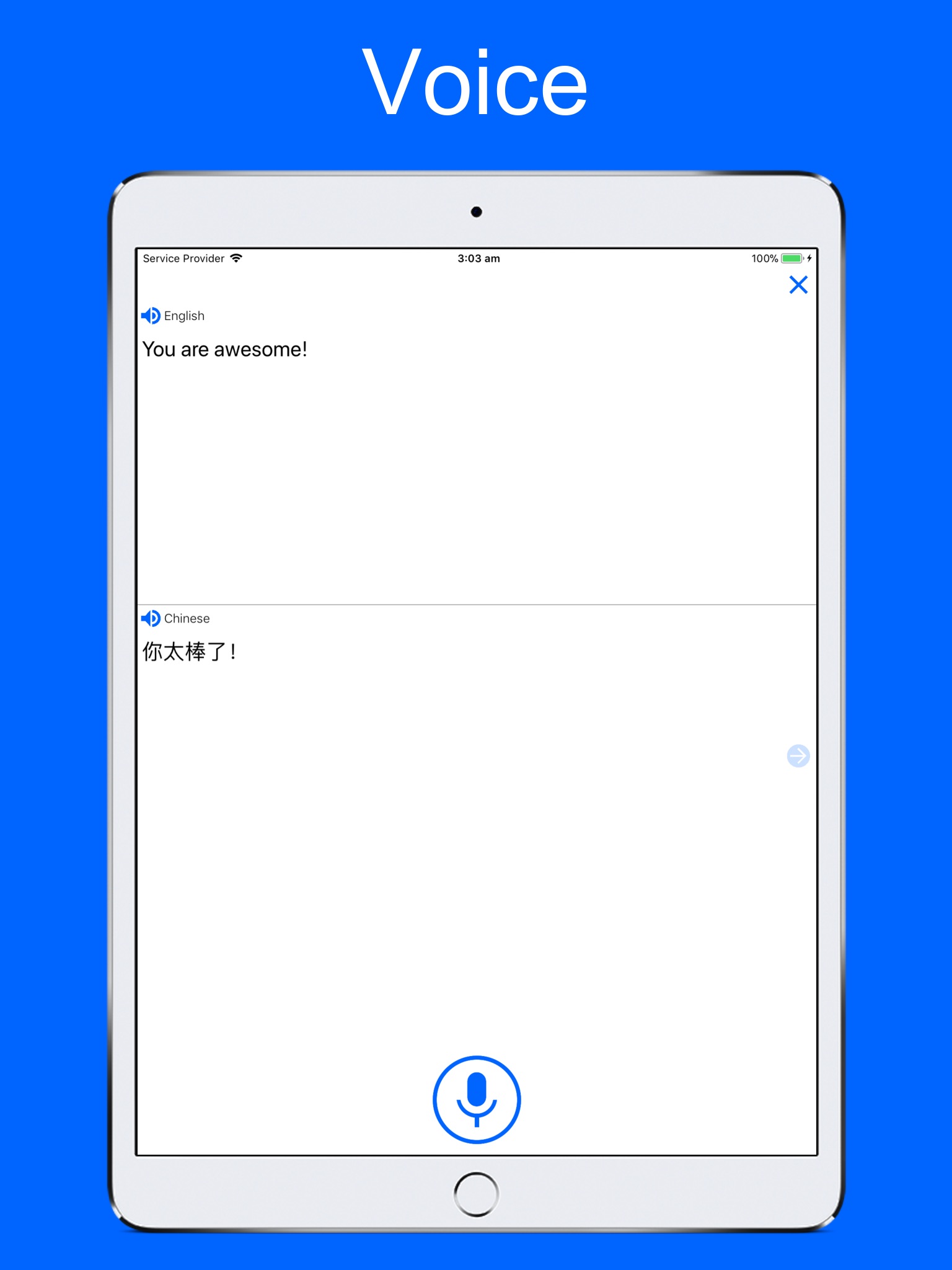 Translate Voice & Dictionary screenshot 3