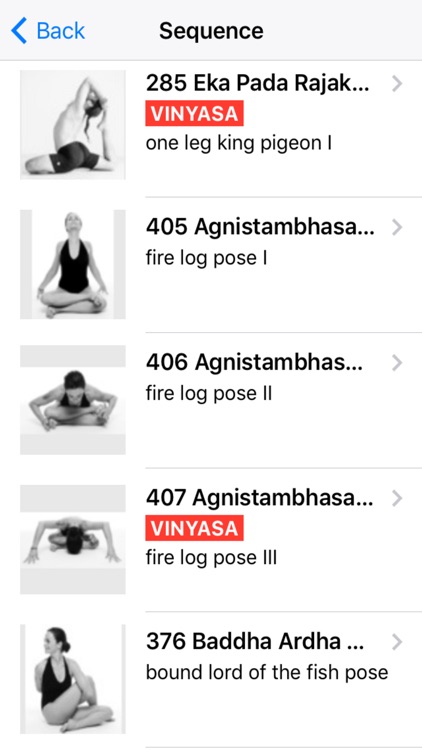 Skanda Yoga Practice screenshot-7