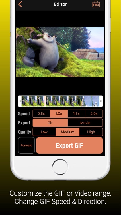 Lively Gif- Live Photo to GIF