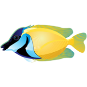 Tropical Fish Stickers