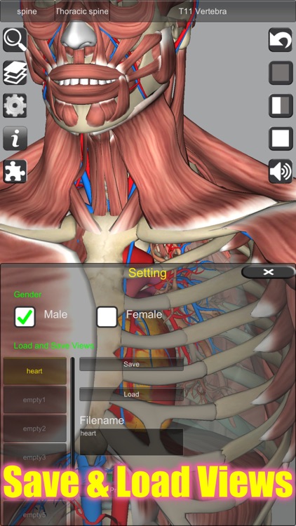 3D Anatomy screenshot-3