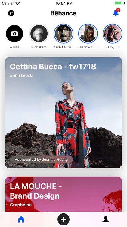Behance screenshot-0
