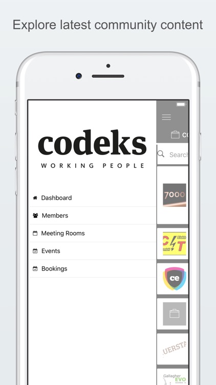 codeks screenshot-4