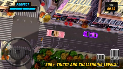 Parking Frenzy 2.0 Screenshot 2