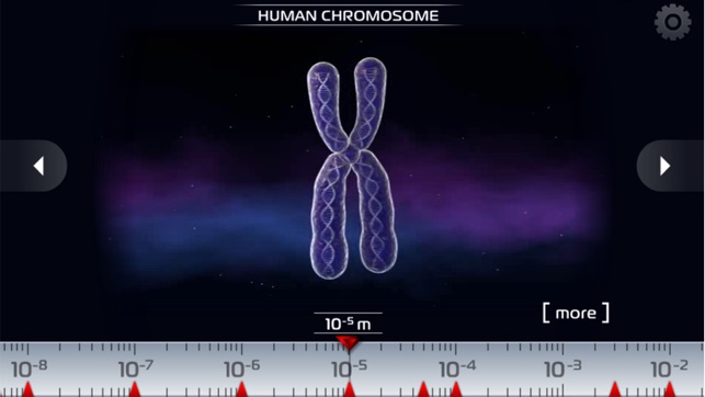 的科學 - 微觀3D：細菌，病毒，原子，分子和顆粒(圖2)-速報App