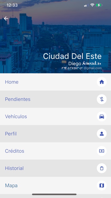 Estacionamiento Digital CDE screenshot-3