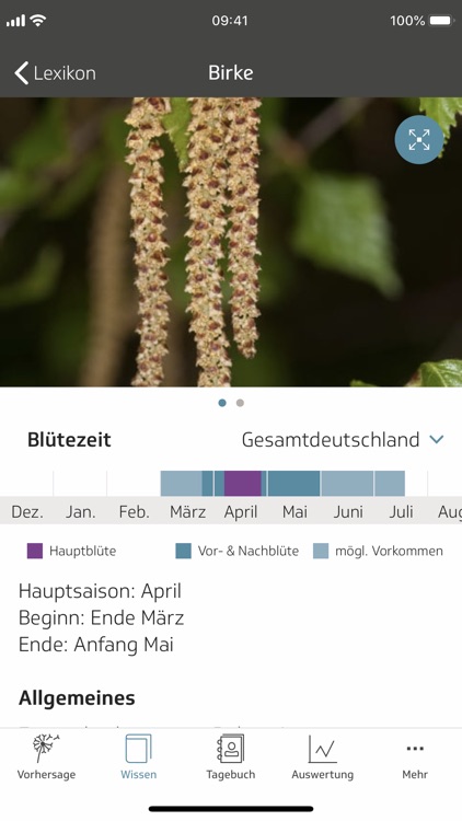 Husteblume screenshot-3