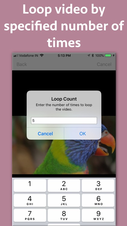 Video Looper Pro screenshot-3