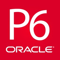 Contacter Oracle Primavera P6 EPPM