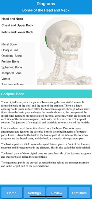 Skeletal System Anatomy(圖6)-速報App