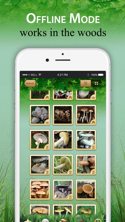 Mushroom Book & Identification screenshot-3