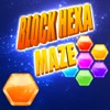 Block Hexa Maze: Puzzle Game