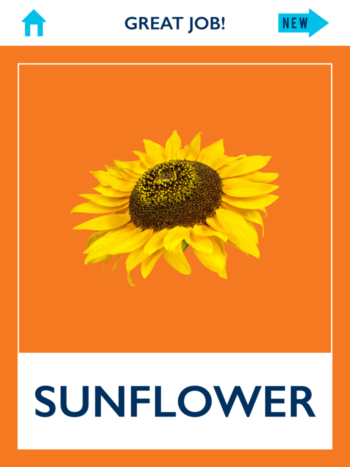 Puzzle Pro Articulation