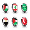 Flags Selector