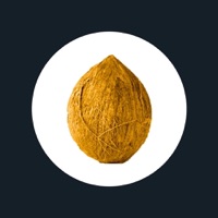 Coco Conducteur pour PC