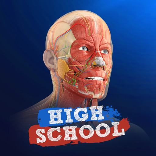 High School Anatomy 21