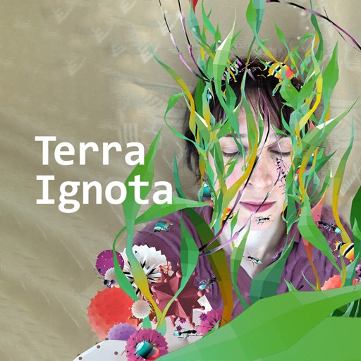 Terra Ignota