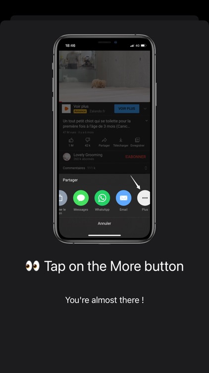 V.I.PiP screenshot-4