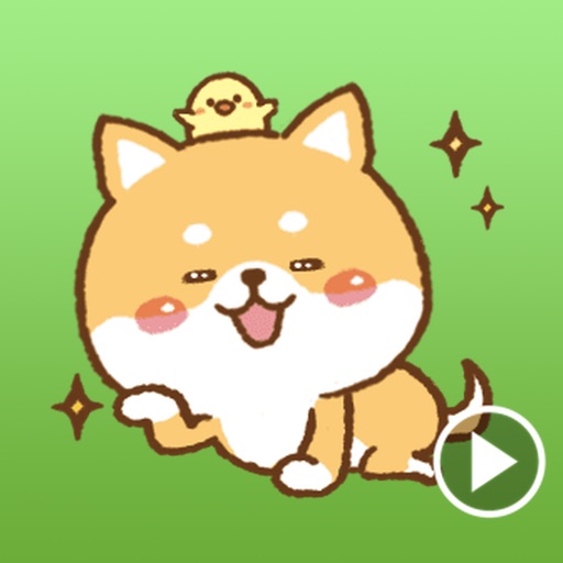 Cute Dog and Chicken Stickers icon