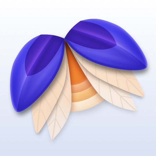 Elytra