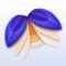 Elytra is a RSS Feed Reader App and Sync Service that is fast, stable and private