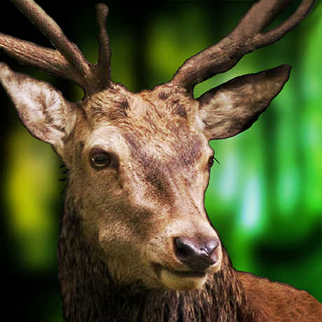 Deer Sniper  3D Hunting Games