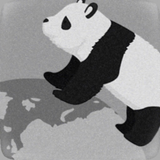 Когда Panda оказывается