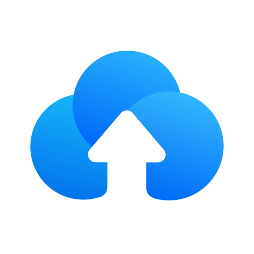 Version 2.5.1
