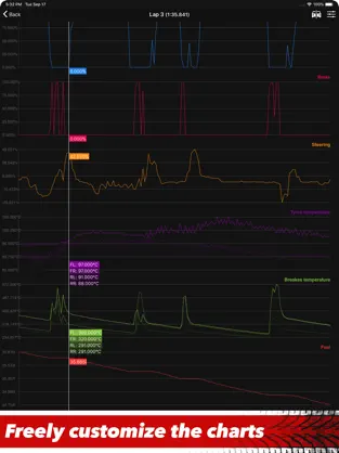 Imágen 2 Sim Racing Telemetry iphone