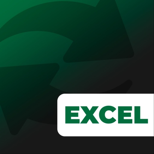 where do you see the year for excel on mac