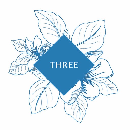 Three Old Town Park Download