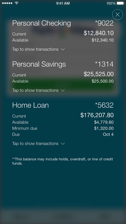 MoneyView by Park View FCU screenshot-3