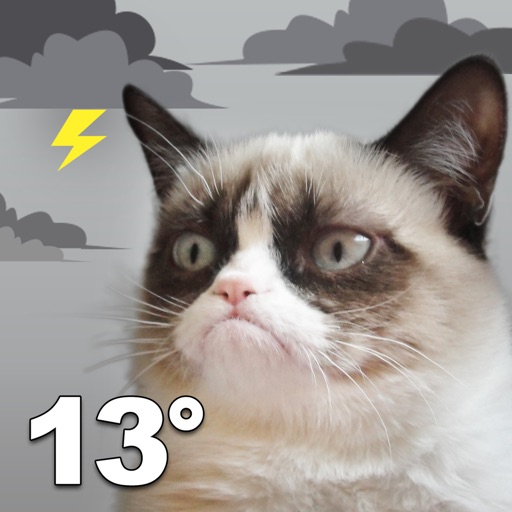 Grumpy Cat's Funny Weather