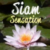 Siam Sensation