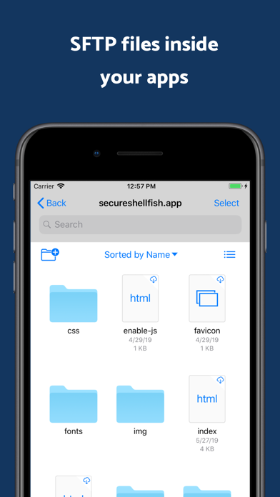 SSH Files – Secure ShellFish screenshot 2