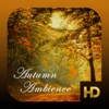 Icon Autumn Ambience HD IAP